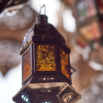فتاوى شهر رمضان 2025