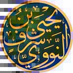 الإمام النووي وموقفه من اللعب مع الأطفال