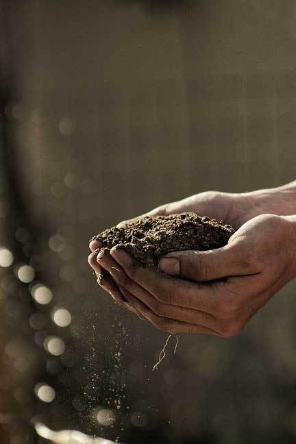 إحياء الأرض الموات