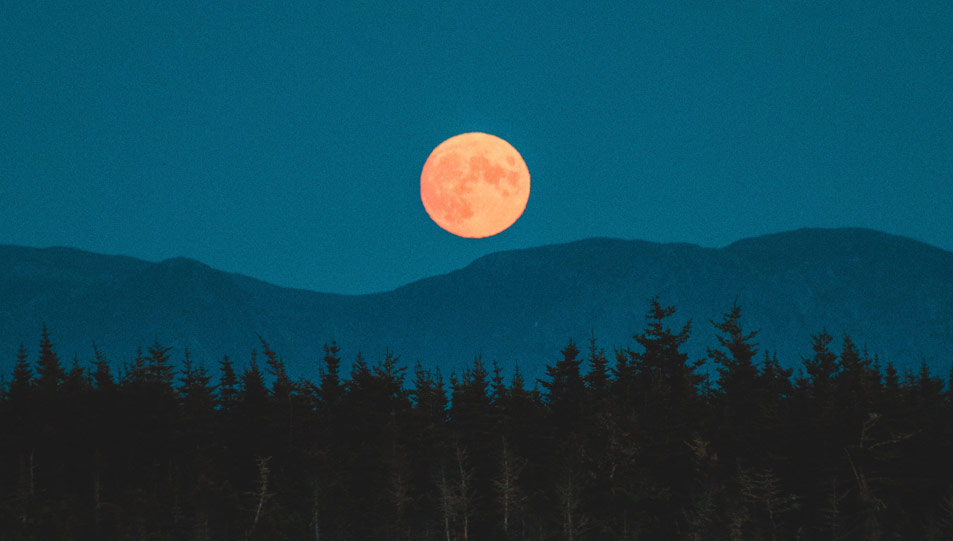 فضائل ليلة النصف من شعبان ومدى حصولها للمذنبين