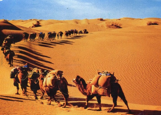 حكم التهنئة بالعام الهجري الجديد