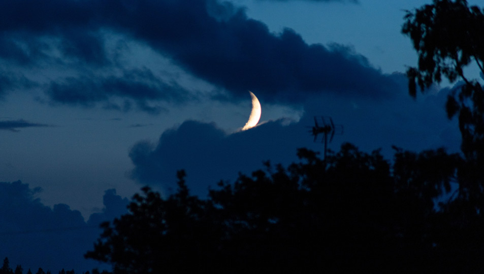 حكم صوم يوم الشك بنية كفارة اليمين