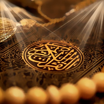 ترجمةُ معاني القرآن الكريم بِلُغَةِ الإشارة ترجمةُ معاني القرآن الكريم بِلُغَةِ الإشارة