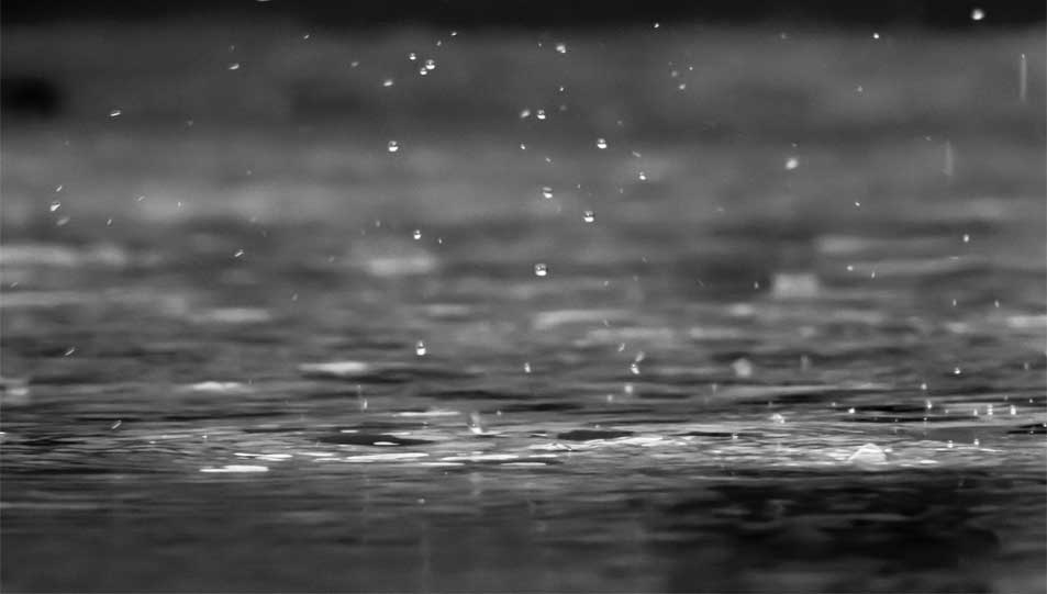 فضل اتباع الجنائز عند نزول المطر