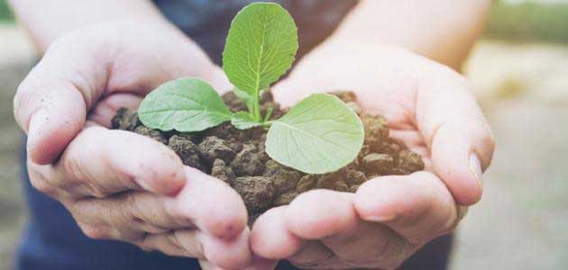 من أعلى درجات الإحسان مع الخَلق من أعلى درجات الإحسان مع الخَلق