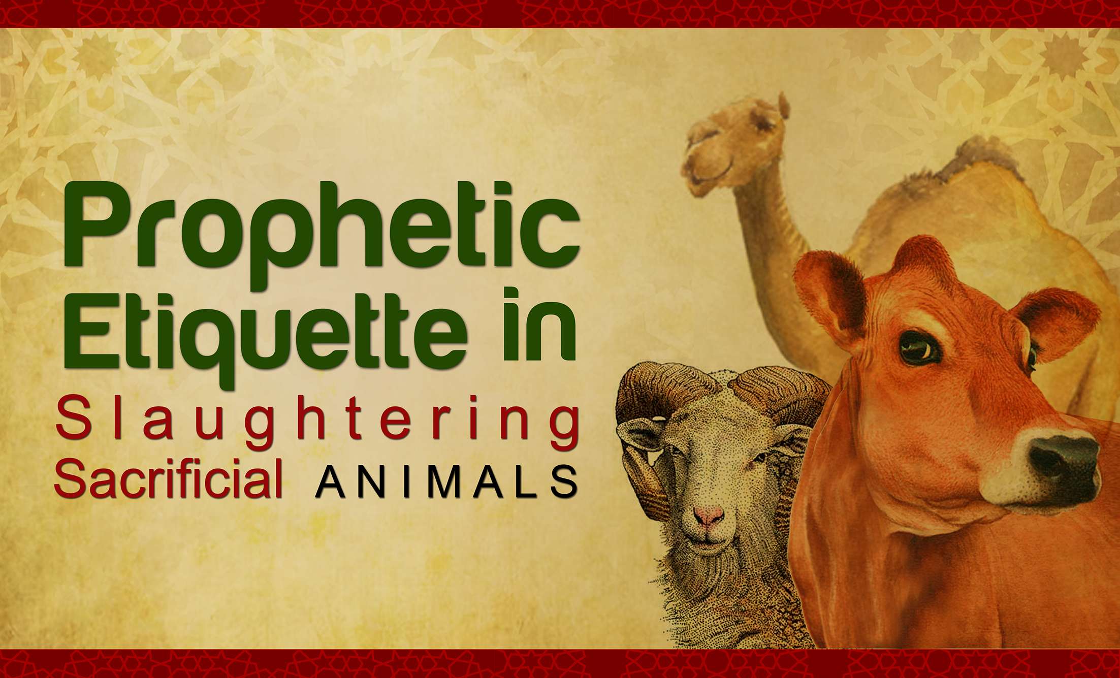 The Prophetic Etiquette of Slaughtering