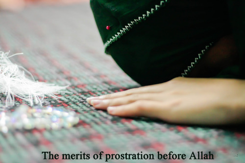 Chapter 5 The merits of prostration (Sujud) before Allah, the exalted