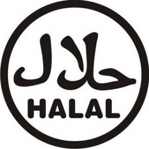 Can I eat non halal food as I live by myself and no halal ready made food is available?
