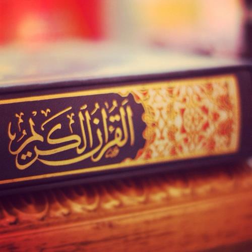 Should Muslims be sufficed with the Quran without the Sunnah?