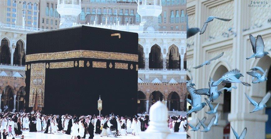 The excellence of Hajj and 'Umrah 