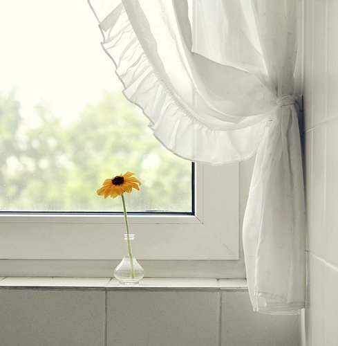 The Value of Simplicity