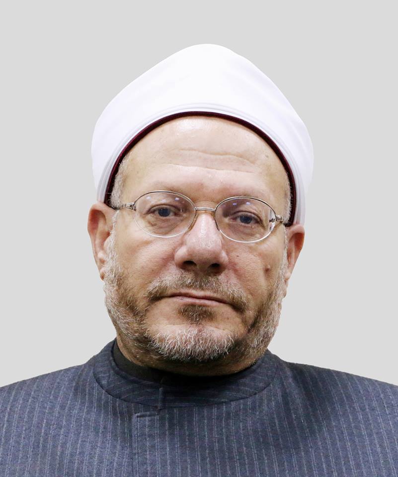 Egypt's Grand Mufti denounced German train axe attack